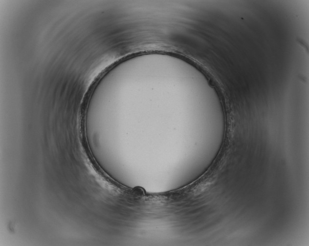 X0000103440991200809261750
