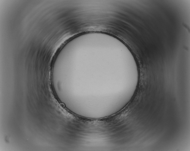X0000103440992200809261750