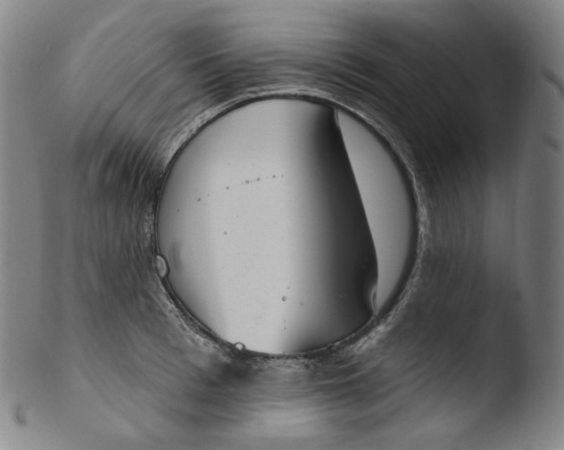 X0000103440993200809261750