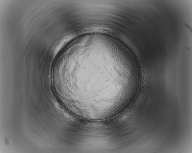 X0000103440994200809261750