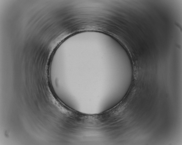 X0000103440995200809261750