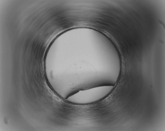 X0000103440996200809261750