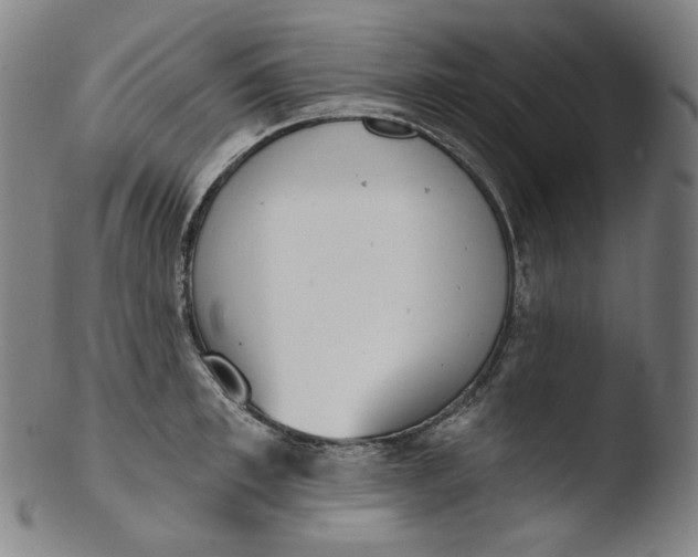 X0000103440997200809261750