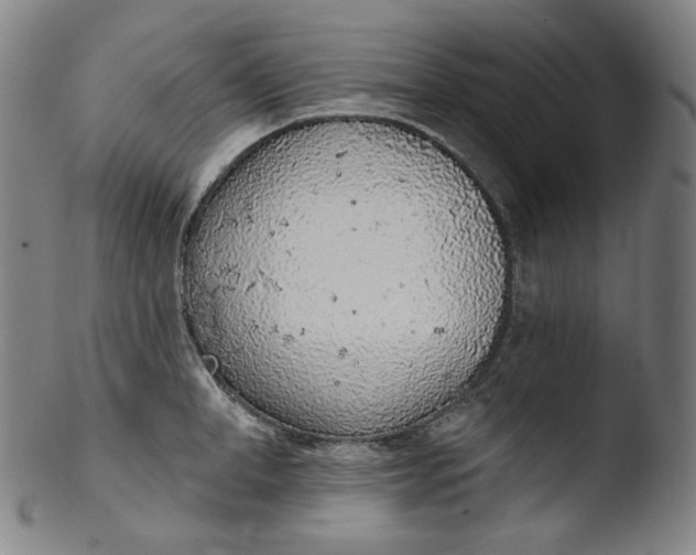 X0000103440998200809261750