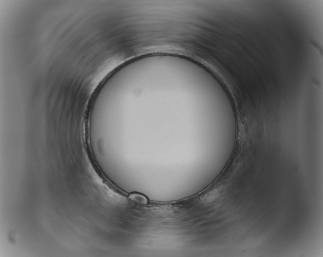 X0000103440999200809261750