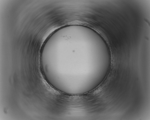 X0000103441000200809261750