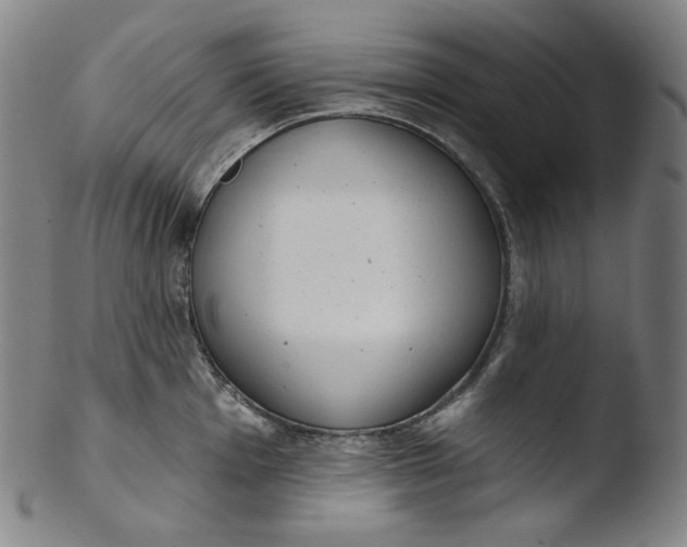 X0000103441001200809261750