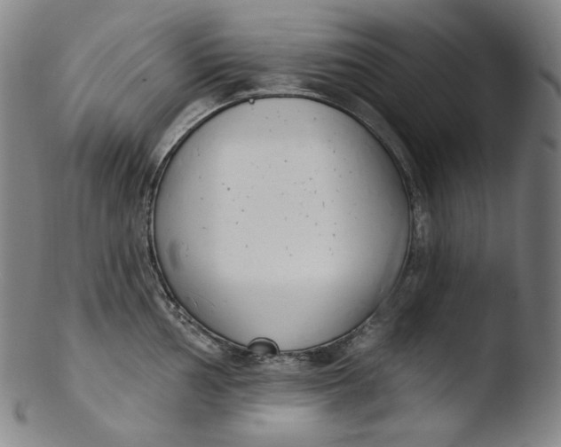 X0000103441002200809261750