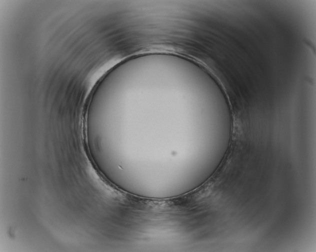 X0000103441003200809261750