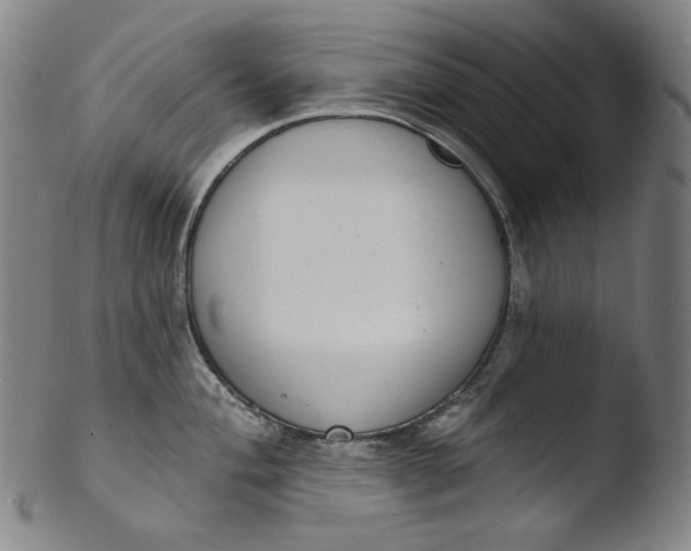 X0000103441004200809261750
