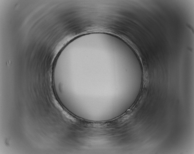 X0000103441005200809261750