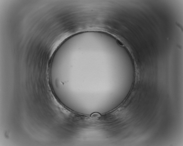X0000103441006200809261750