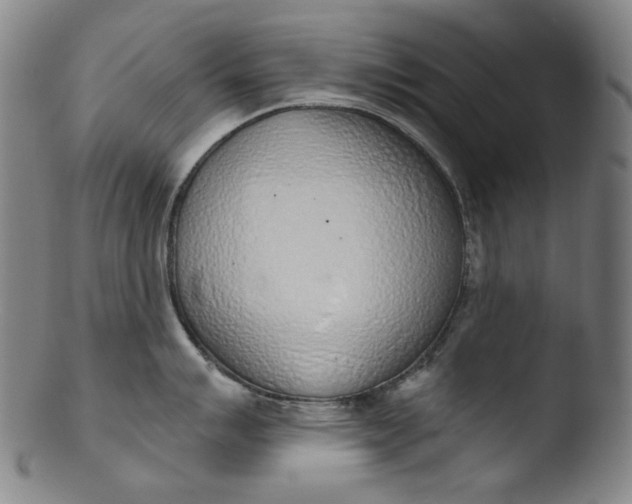 X0000103441007200809261750