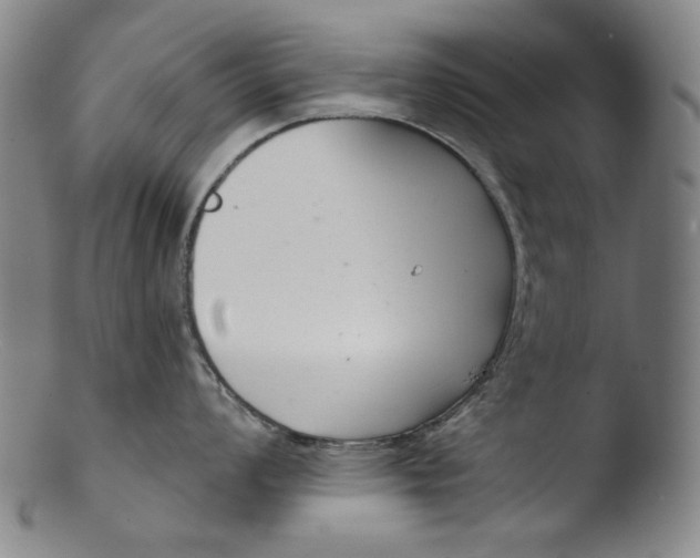 X0000103441008200809261750