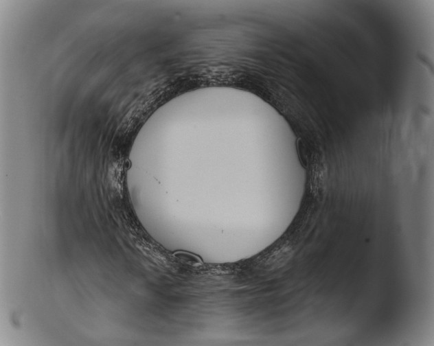 X0000103441010200809261749