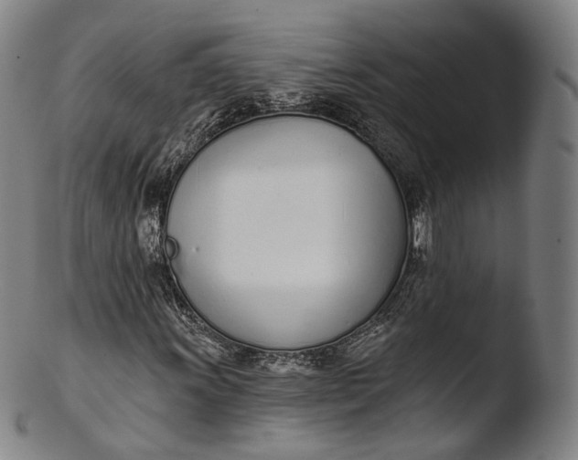 X0000103441011200809261749