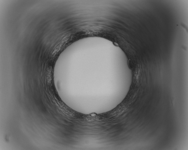 X0000103441012200809261749