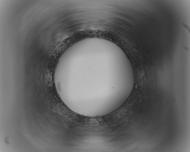 X0000103441013200809261749
