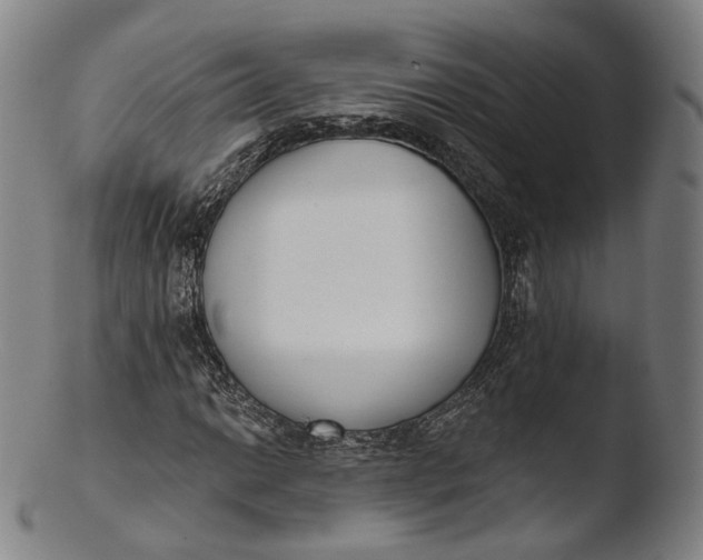 X0000103441014200809261749