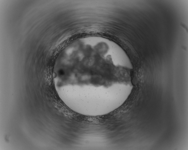 X0000103441015200809261749