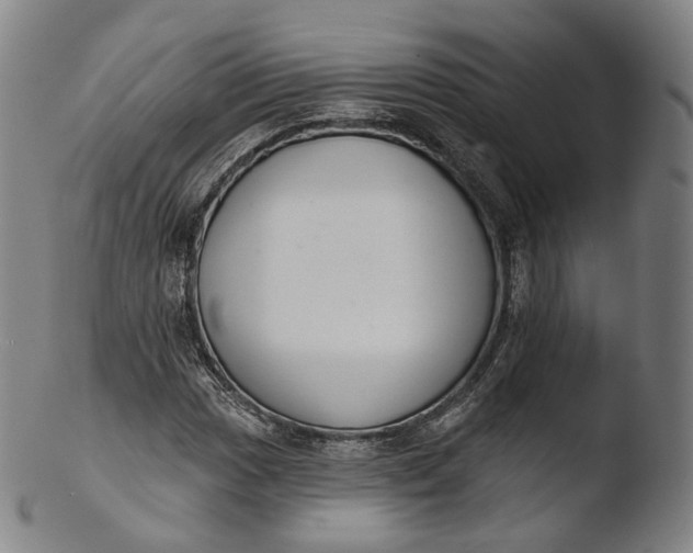 X0000103441017200809261749