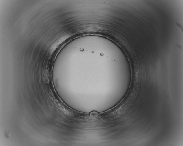 X0000103441018200809261749