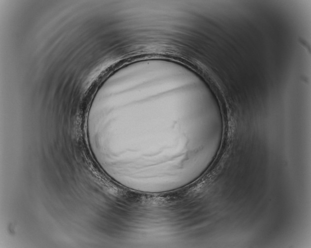 X0000103441019200809261749