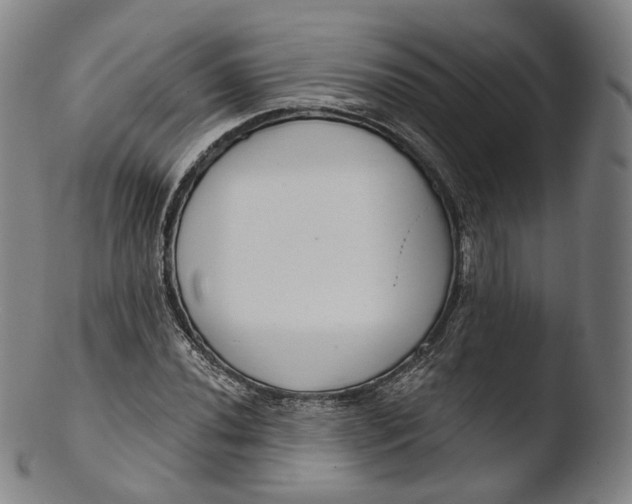 X0000103441020200809261749