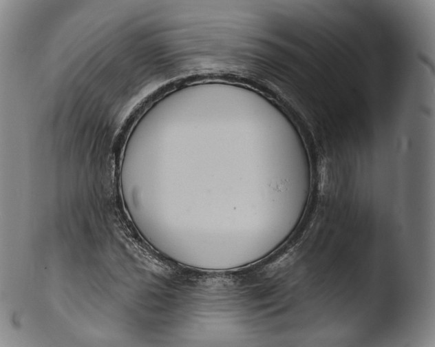 X0000103441021200809261749