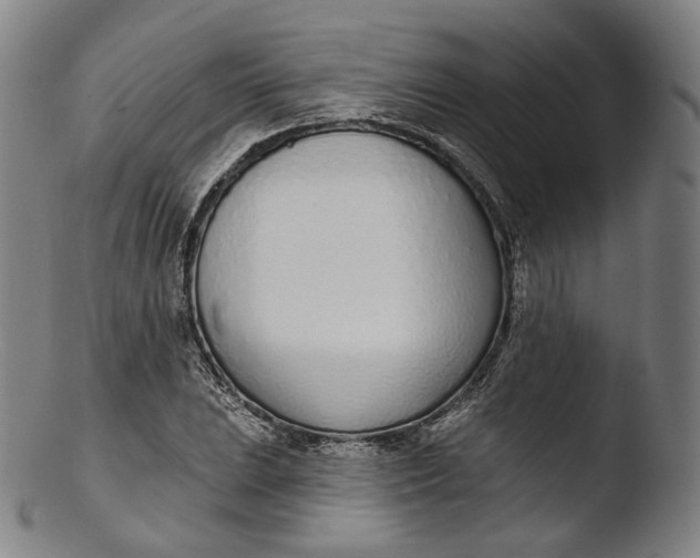 X0000103441023200809261749