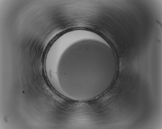 X0000103441024200809261749