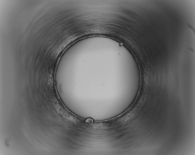 X0000103441025200809261749