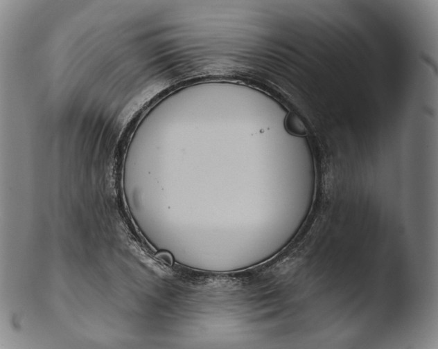 X0000103441026200809261749