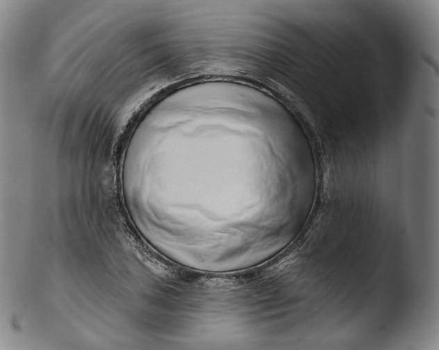 X0000103441027200809261749