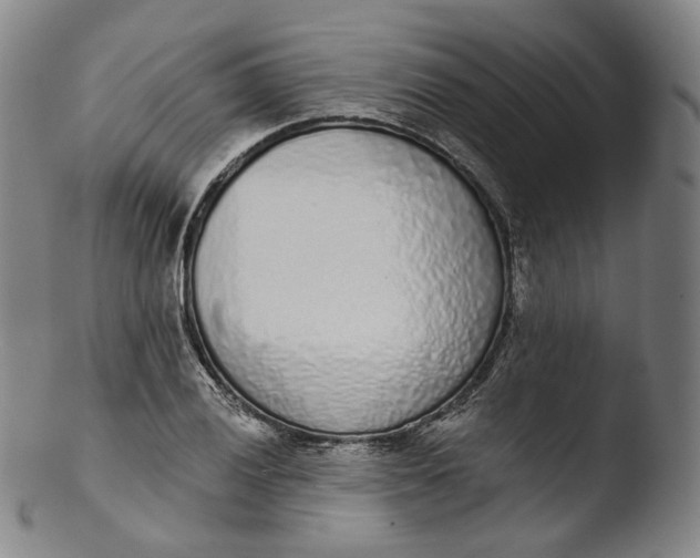 X0000103441028200809261749