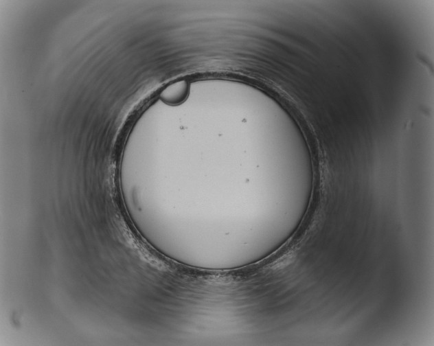 X0000103441029200809261749