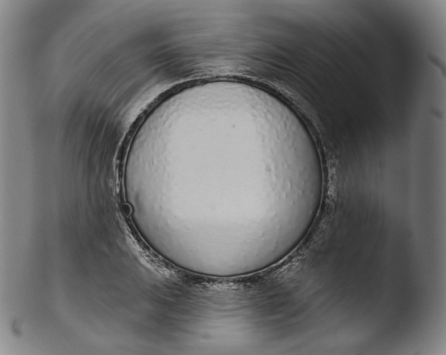 X0000103441031200809261749