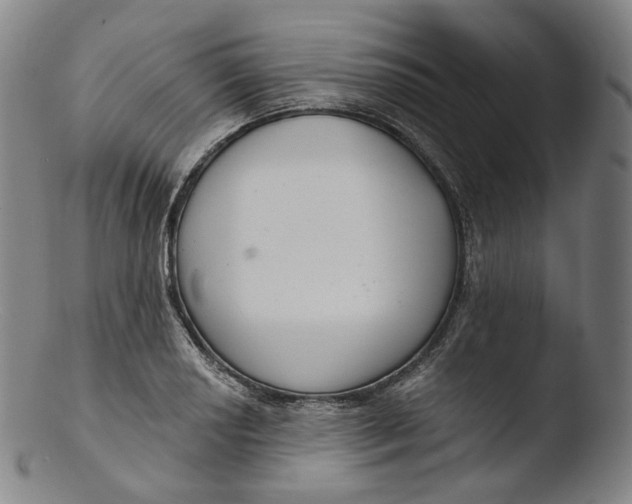 X0000103441034200809261749
