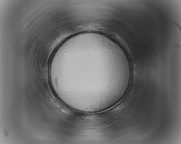 X0000103441035200809261749