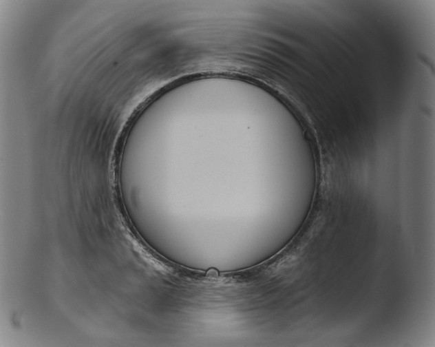 X0000103441037200809261749
