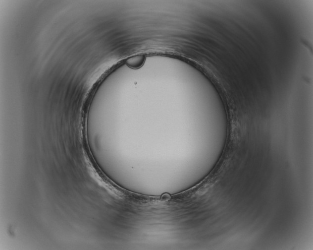 X0000103441038200809261749