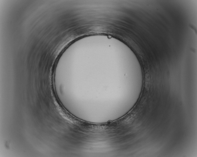 X0000103441039200809261749