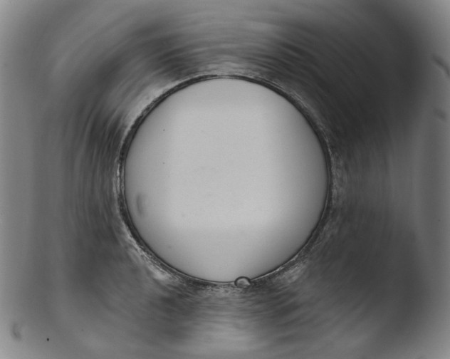 X0000103441040200809261749