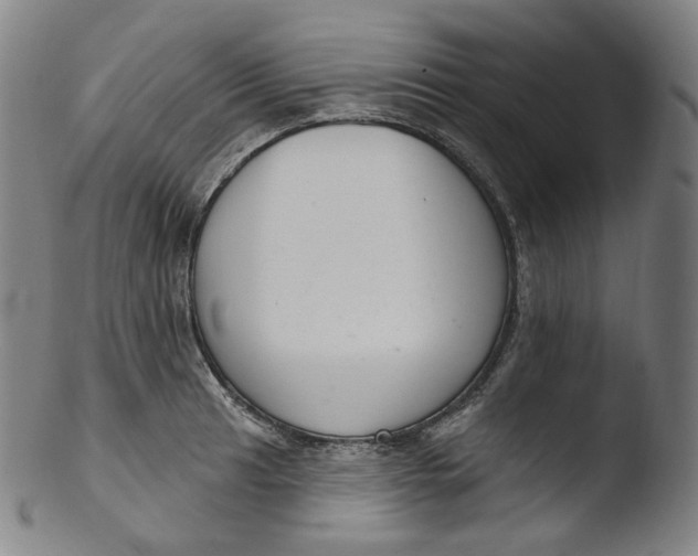 X0000103441041200809261749