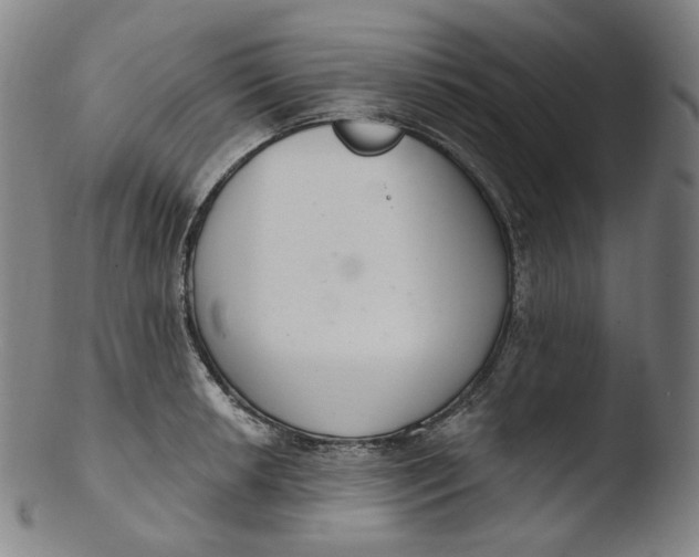 X0000103441042200809261749