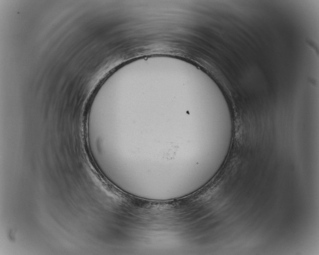 X0000103441043200809261749
