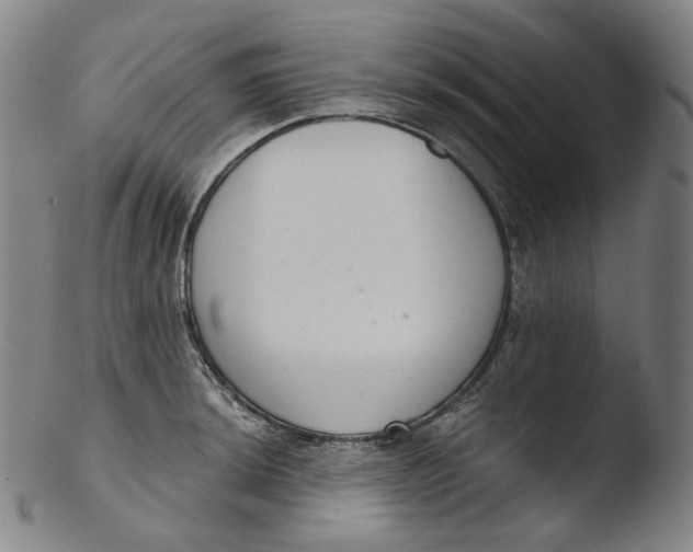 X0000103441044200809261749