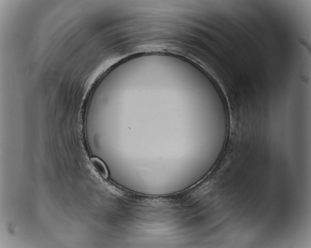 X0000103441045200809261749
