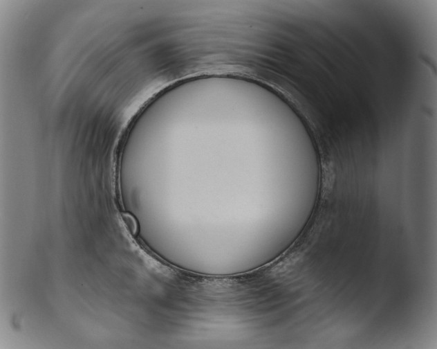 X0000103441046200809261749