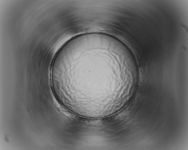 X0000103441047200809261749